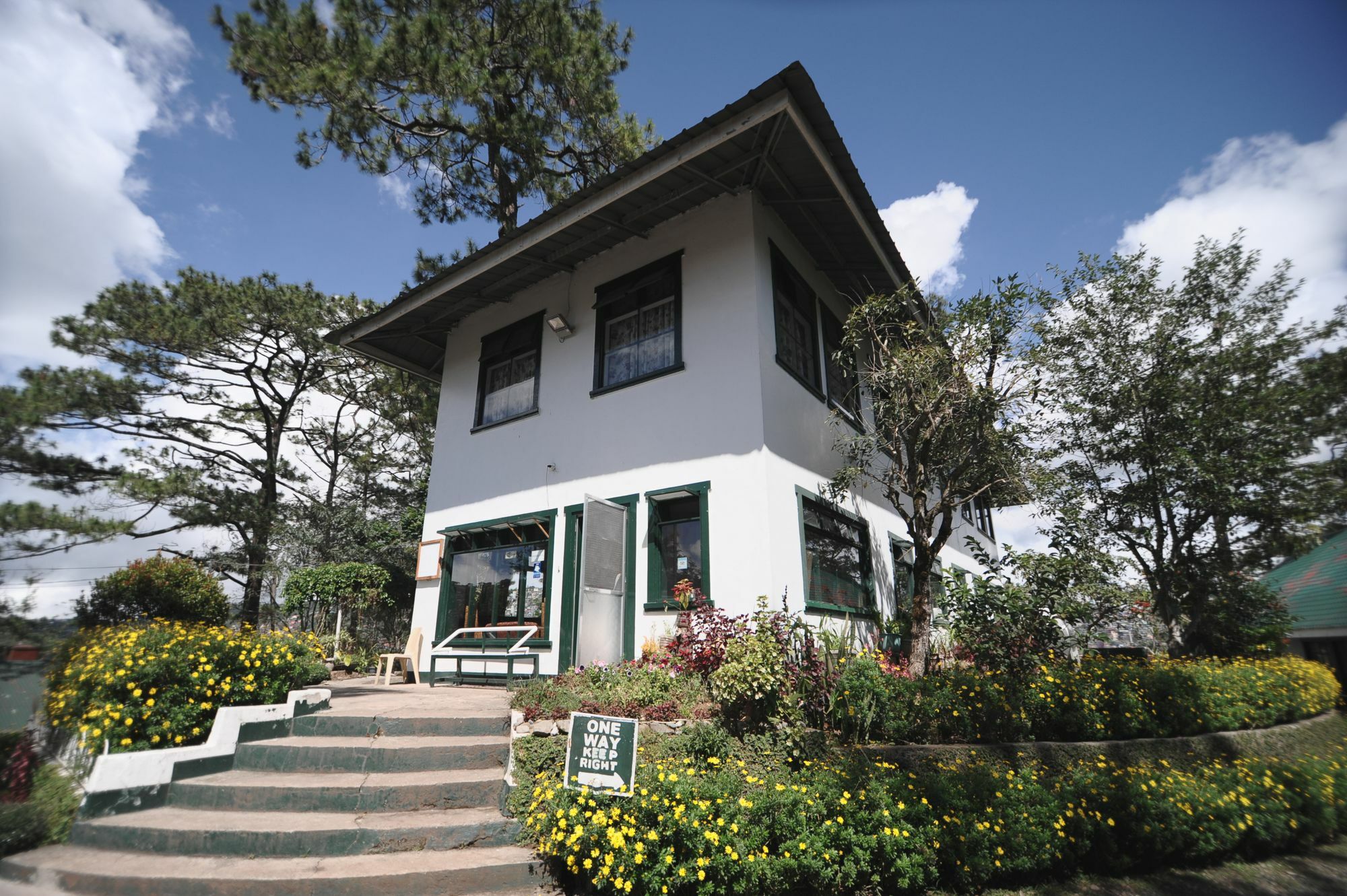 באגויו Pine Breeze Cottages מראה חיצוני תמונה